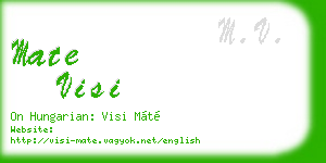 mate visi business card